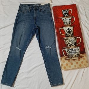 Universal Thread High Rise